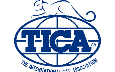 国际猫协会 TICA(The International Cat Association)