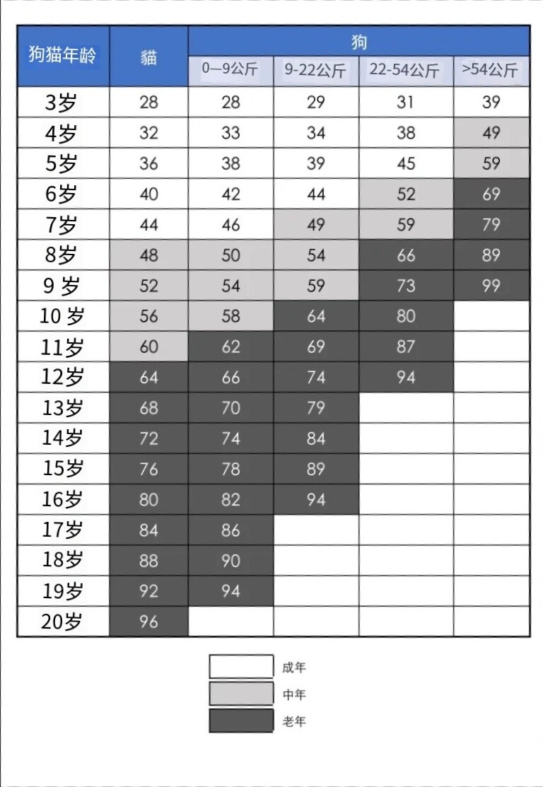 老年猫狗照顾建议：常见症状的识别和应对