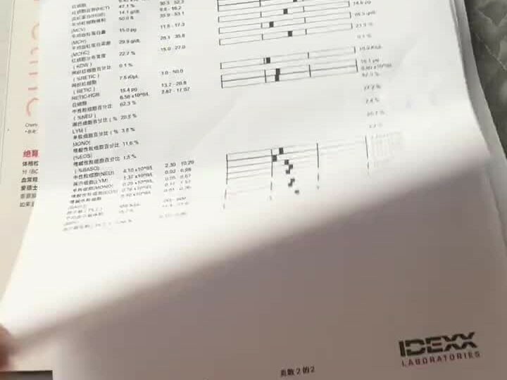 宠物保险理赔流程：从治疗到报销的 7 天个人经历