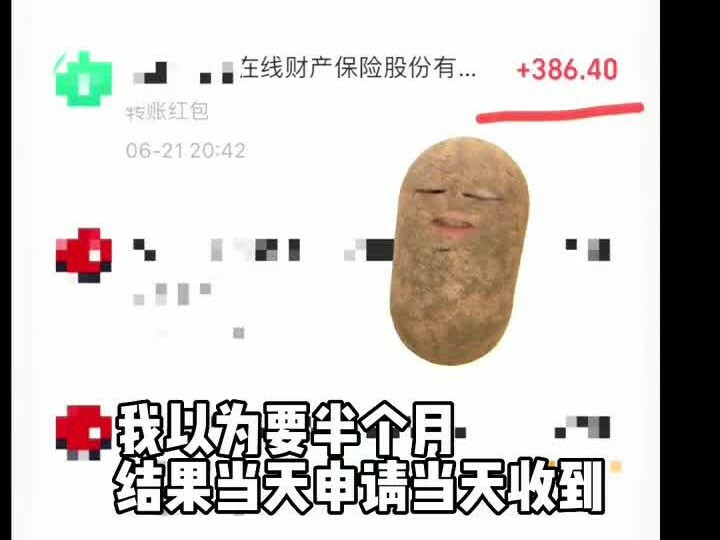 宠物保险理赔流程：从治疗到报销的 7 天个人经历