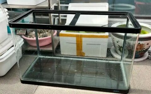 New Aquarium Water Preparation Guide: Proper Chlorine Removal and Nitrosystem Establishment