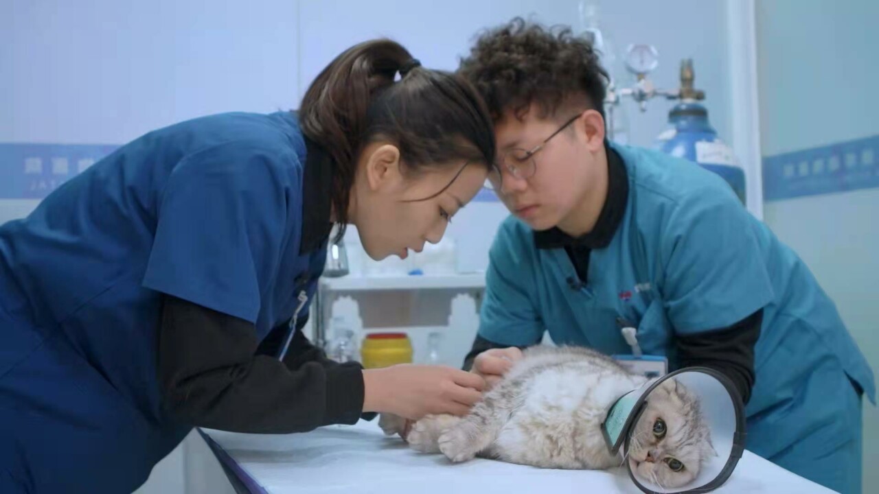 百科全书
