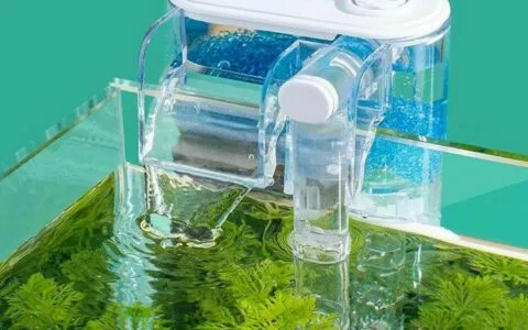 鱼缸过滤器的作用及工作原理介绍