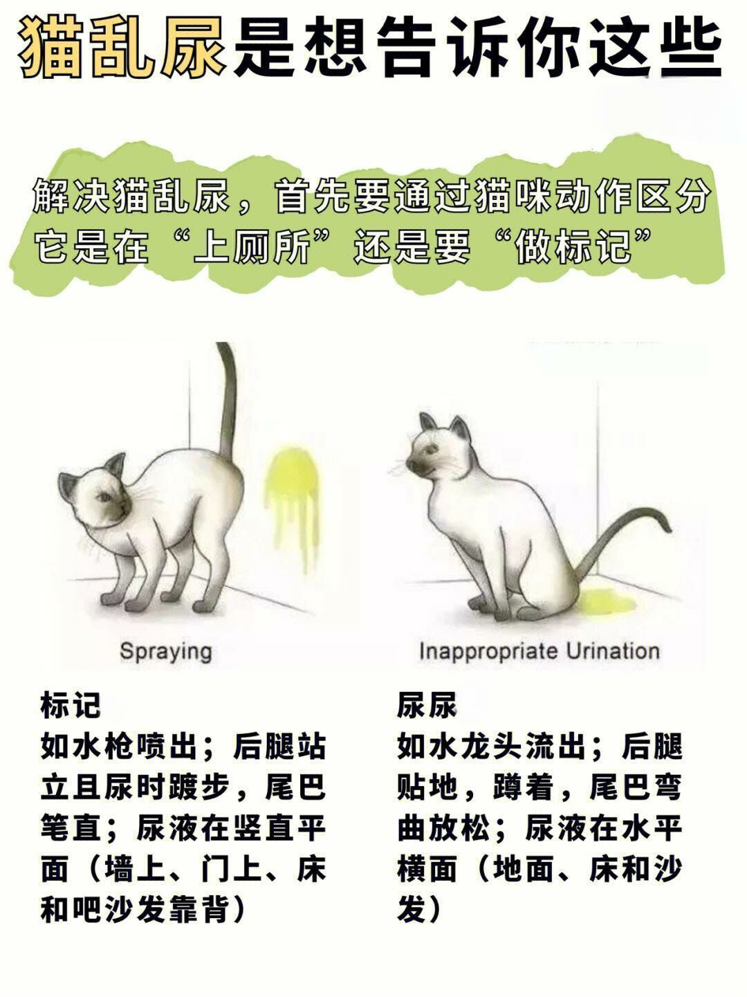 人与宠物