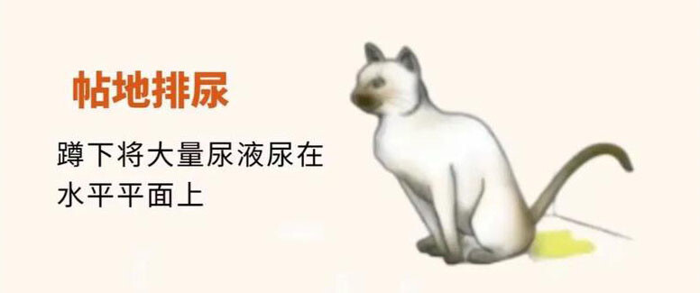 去勢後の猫がまだどこでも尿をこぼしているのはなぜですか?猫が尿をこぼす原因