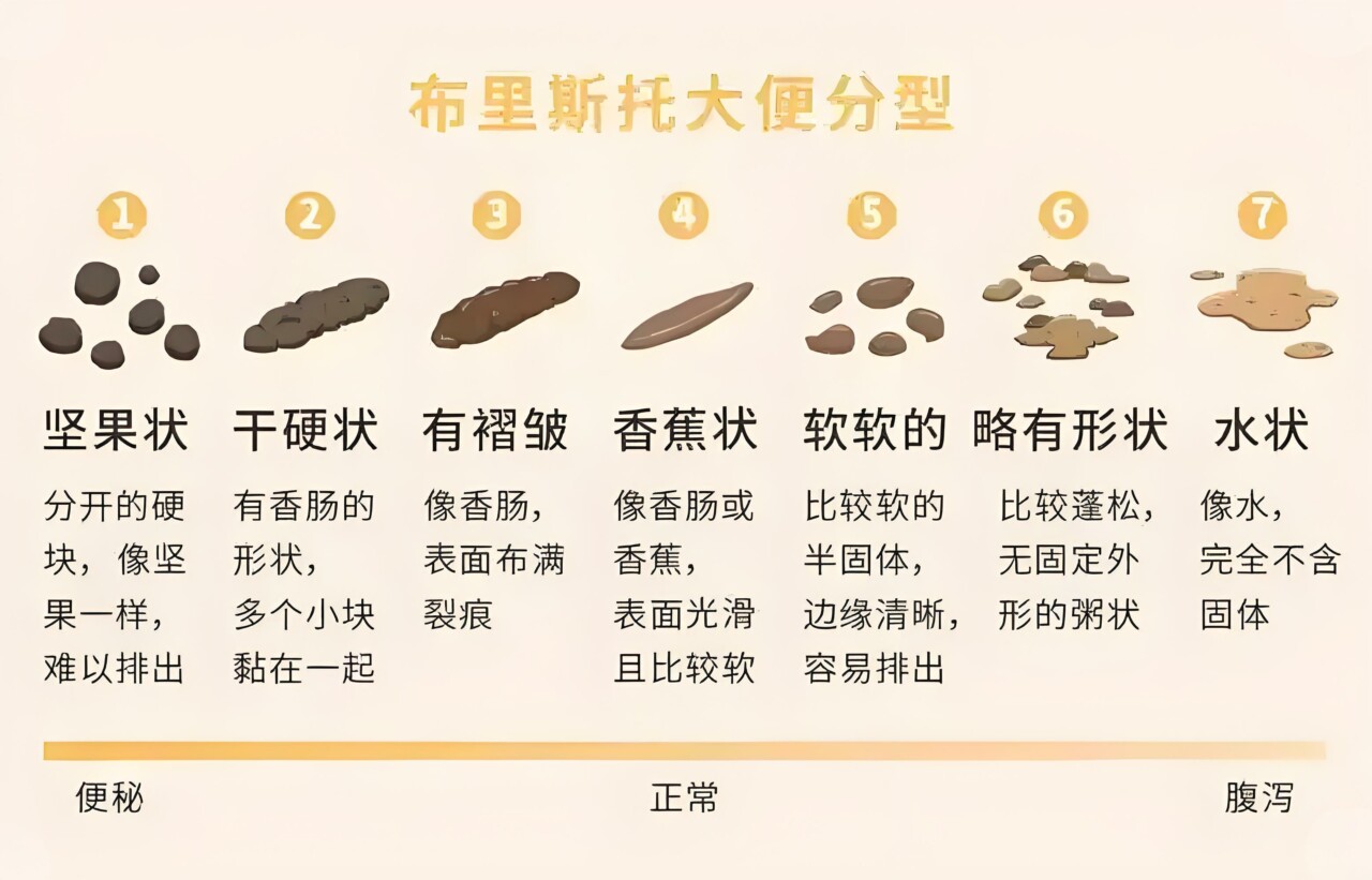 犬の下痢と胃腸炎:9 つのよくある原因と解決策