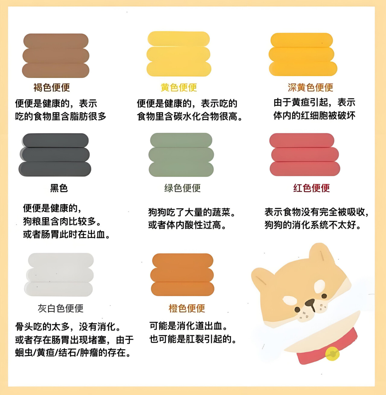 犬の下痢と胃腸炎:9 つのよくある原因と解決策