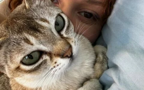 Signs of Labor in Female Cats: How to Determine the Time of Delivery Based on Behavior