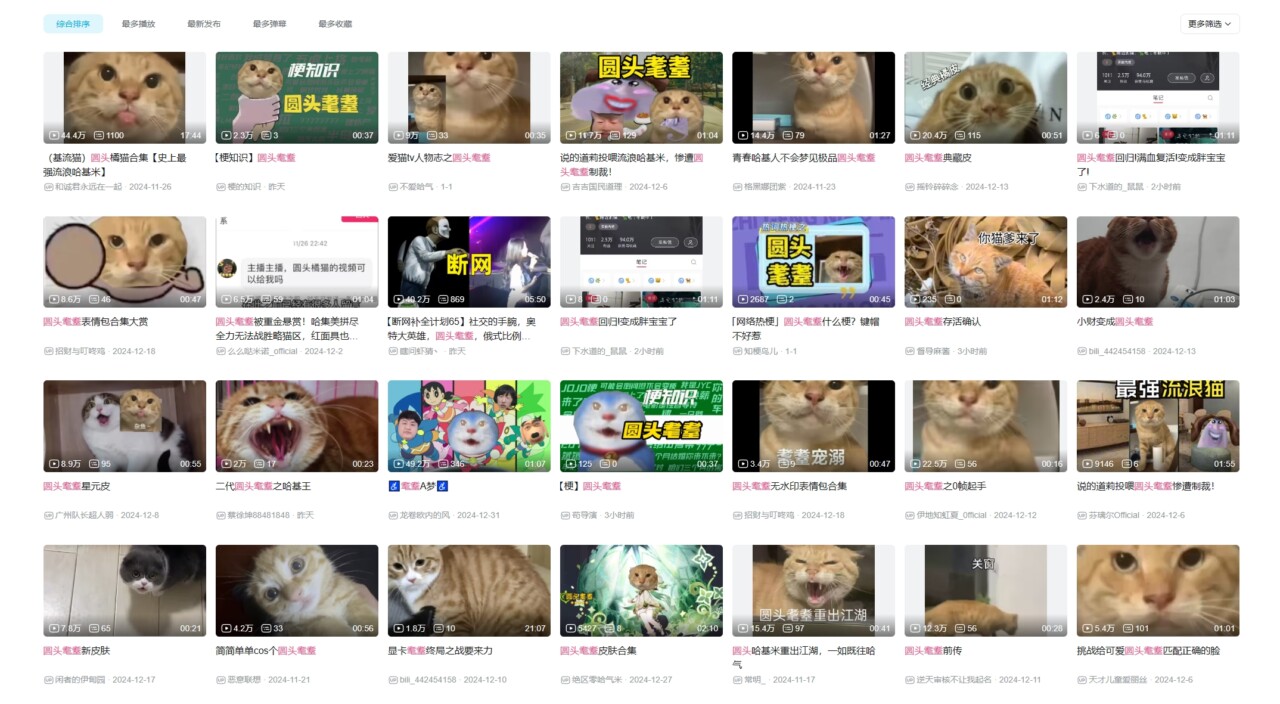 “圆头耄耋”是什么梗?网络热议的猫咪特点解析