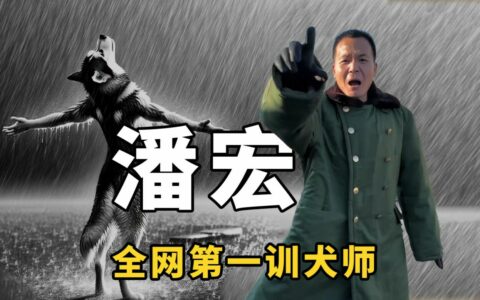 潘宏园区训犬名词解释：窝心饺、火龙果、心肺复苏……