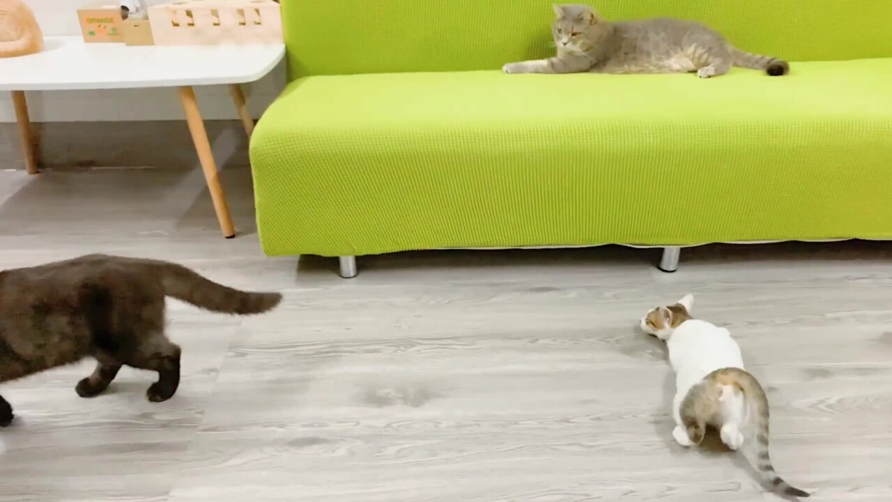 照料方法