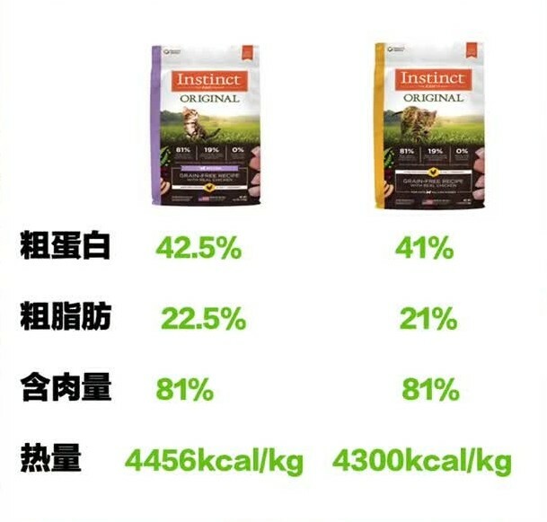 幼猫粮喂到几个月?这些喂养误区你必须知道