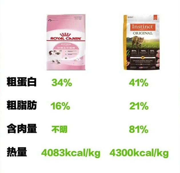 幼猫粮喂到几个月?这些喂养误区你必须知道