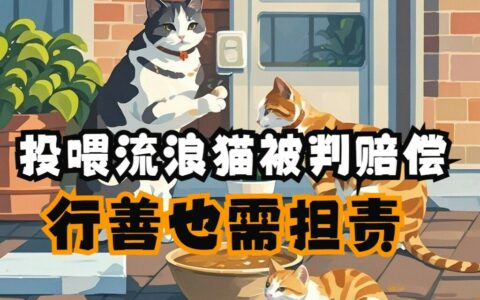 流浪猫挠伤人，投喂者是否需要赔偿？法律解析