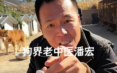 为什么没人觉得“潘宏爱玩狗”很残忍？解读潘宏园区的狗狗故事