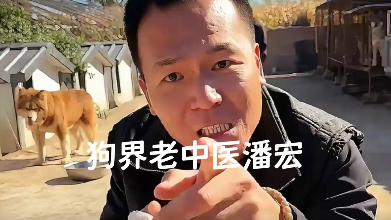为什么没人觉得“潘宏爱玩狗”很残忍?解读潘宏园区的狗狗故事