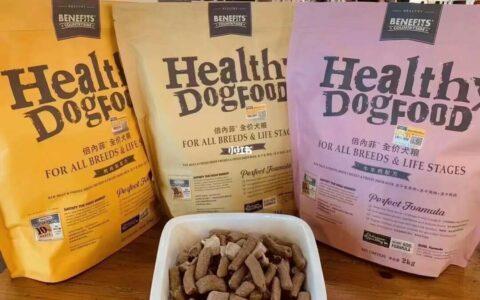 Can Cats Eat Dog Food? Can Dogs Eat Cat Food?