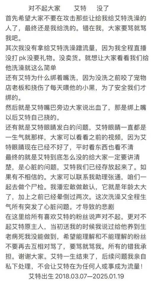 潘宏道歉：网红狗“艾特”洗澡意外去世引发热议