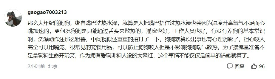 潘宏道歉:网红狗“艾特”洗澡意外去世引发热议