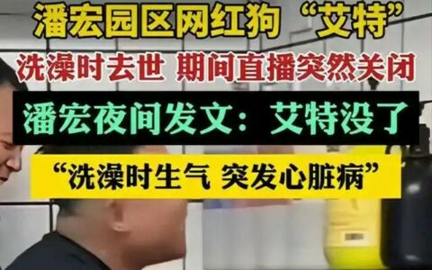 潘宏道歉：网红狗“艾特”洗澡意外去世引发热议