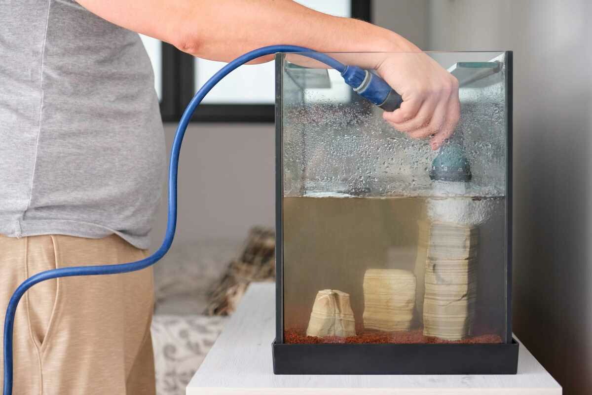 如何改善鱼缸水混浊发白?详细解析生物性浑浊