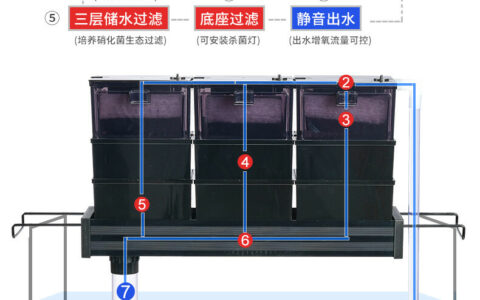 Classification of Aquarium Filters and Analysis of the Advantages of Dry-Wet Separation Filtration Systems