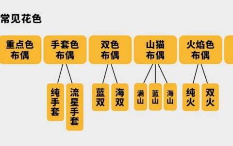 布偶猫品相鉴定指南：如何从小猫预判颜值？避开“长残”雷区