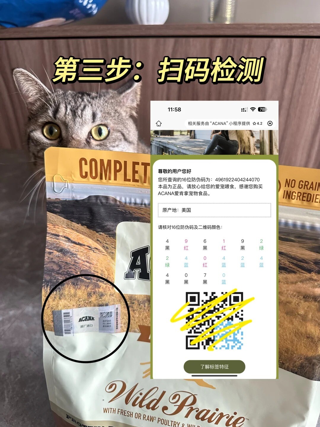 真假爱肯拿猫粮鉴别方法，防伪标辨认教程