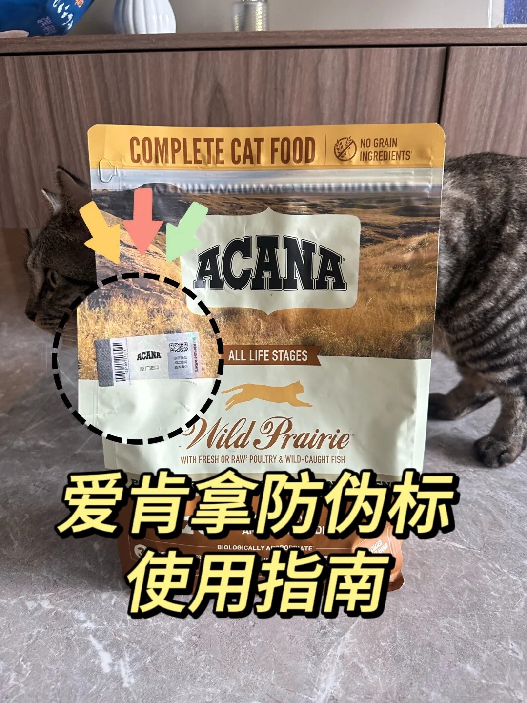 真假爱肯拿猫粮鉴别方法,防伪标辨认教程