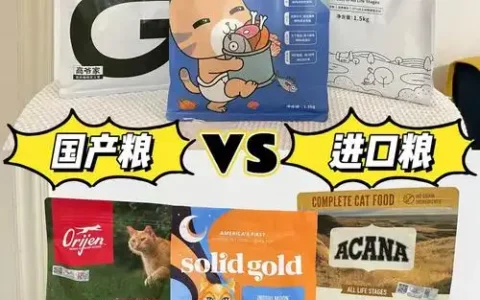 进口猫粮和国产猫粮哪个好？猫咪饮食选择大揭秘