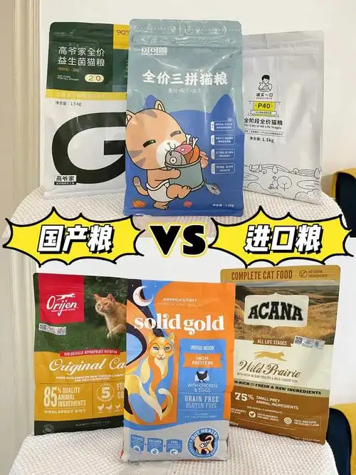 进口猫粮和国产猫粮哪个好?猫咪饮食选择大揭秘