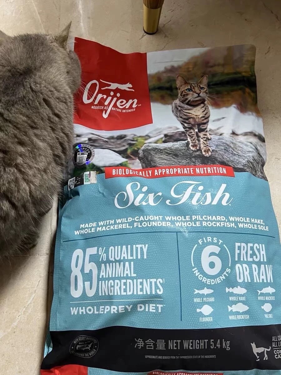 渴望猫粮哪种好?2025 年八种口味测评 + 适用猫咪类型全解析