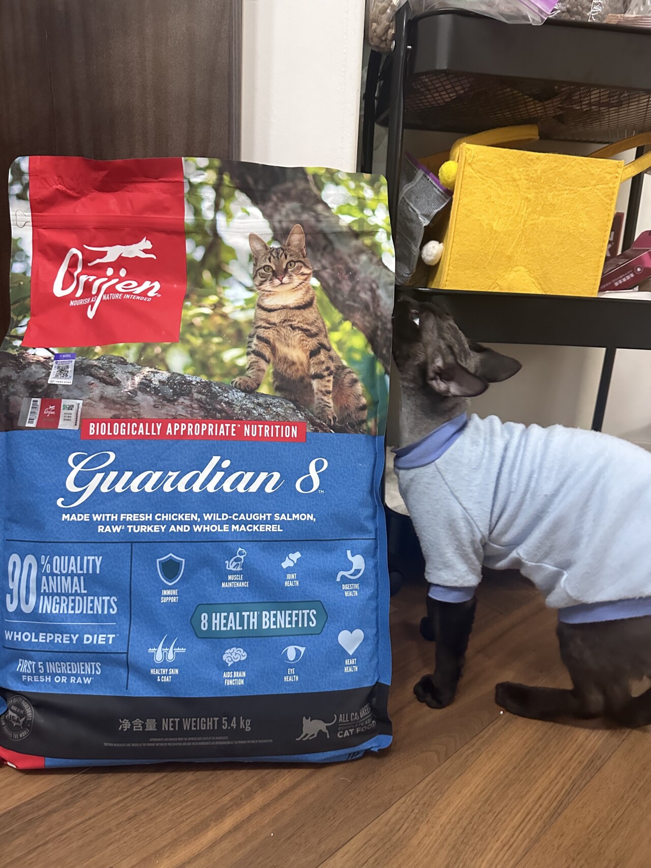 渴望猫粮为什么这么贵？85% 鲜肉成本 + 配方壁垒深度拆解