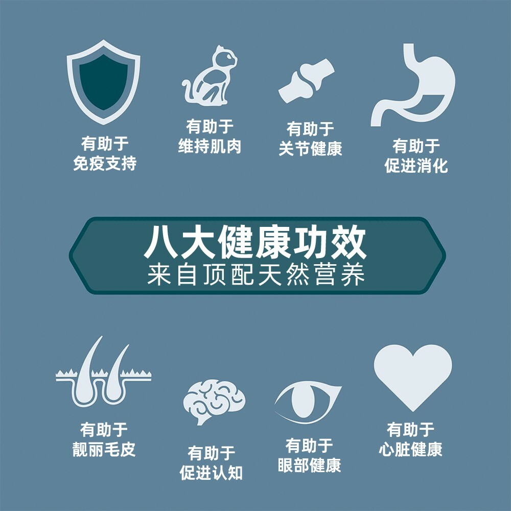 2025 高端猫粮推荐:渴望八重守护猫粮 90% 鲜肉含量解析