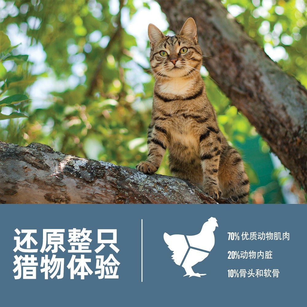 渴望猫粮为什么这么贵？85% 鲜肉成本 + 配方壁垒深度拆解