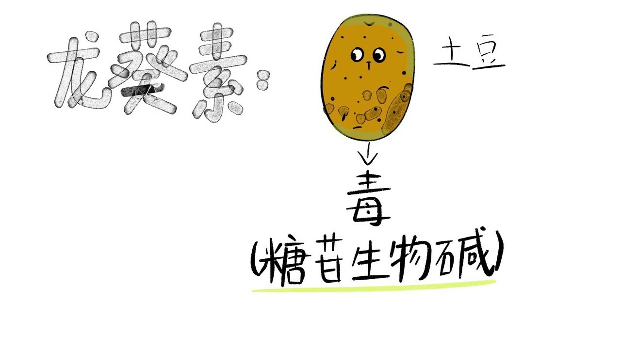 为什么有些猫粮会吃死猫?劣质原料 + 储存不当双重因素剖析