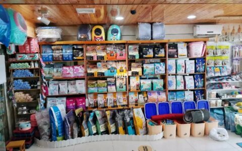 猫咪补钙的 5 大误区，90% 的铲屎官都做错了！科学补钙全攻略