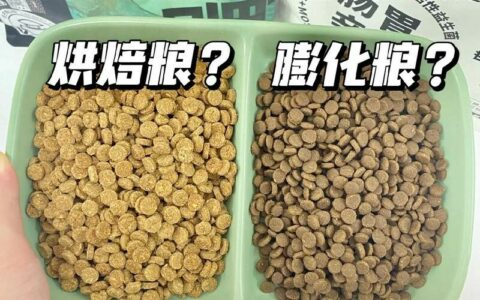 新手必看！猫粮选膨化还是烘焙？5 分钟搞懂优缺点