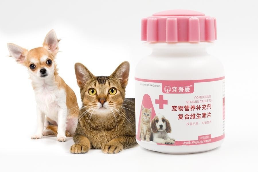 养猫保健品避雷指南:维生素 / 钙片 / 鱼油到底怎么选?