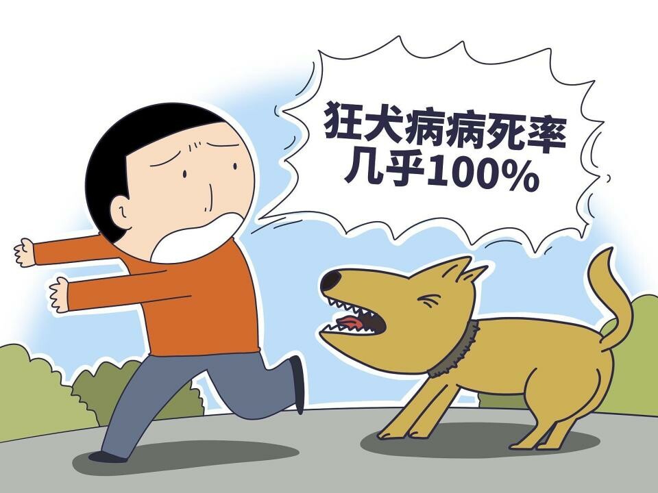 广东疾控通报:被狗咬伤未就医约 3 个月后发病身亡的狂犬病案例