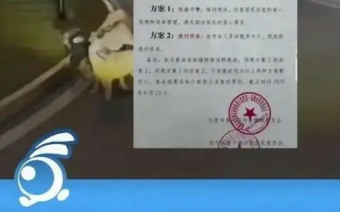 成都小区投票表决扑杀流浪狗引争议：社区称意见收集期将先尝试驱赶