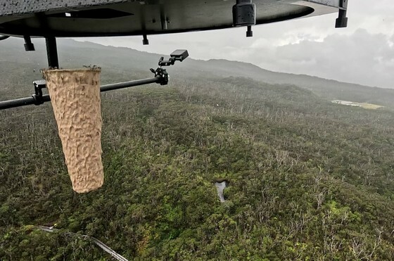 ハワイ 蚊:マウイ島などでドローン散布された雄蚊 4000 万匹による土着鳥類保護戦略