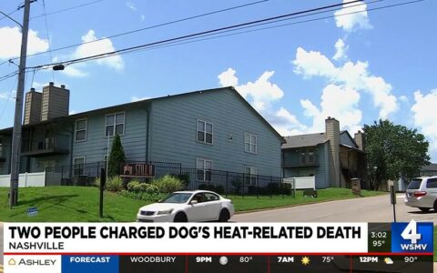 Nashville Couple Arrested After Dog Dies in Hot Weather: Excerpts from Multiple Reports