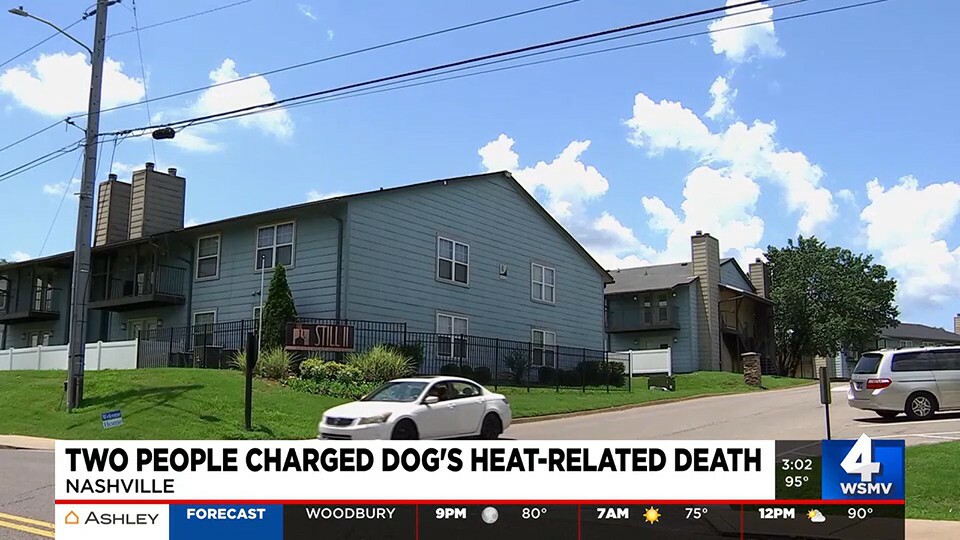Nashville Couple Arrested After Dog Dies in Hot Weather: Excerpts from Multiple Reports