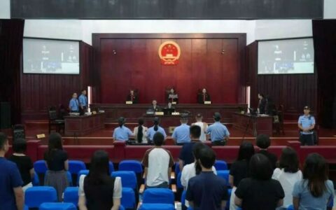 两人造谣大熊猫被虐待获刑，扰乱动物科研单位秩序