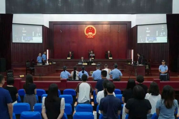 两人造谣大熊猫被虐待获刑,扰乱动物科研单位秩序