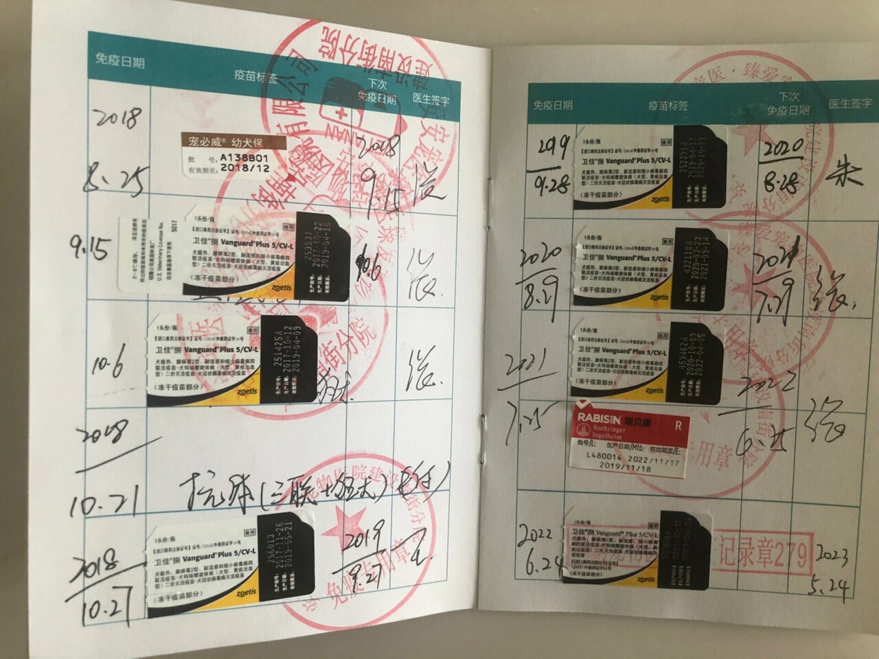 猫犬多合一疫苗怎么选?五合一到十一合一解析