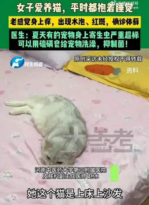 女子抱猫睡觉半年确诊体癣:医生提醒宠物寄生虫风险