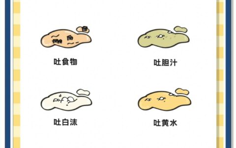狗狗呕吐怎么办？观察呕吐物颜色与形态指南