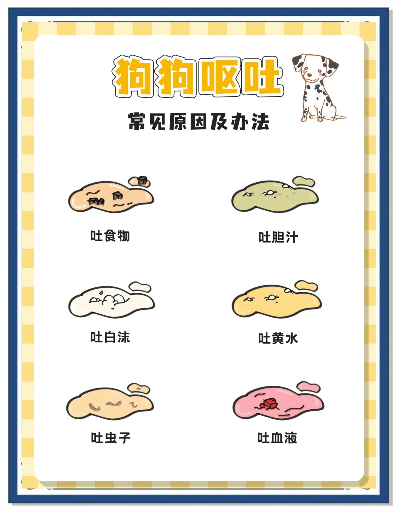 狗狗呕吐怎么办?观察呕吐物颜色与形态指南
